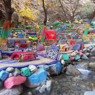 IMG_20241111_140659_666